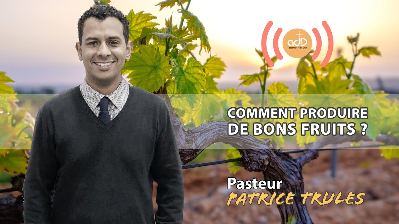 Featured image for “Comment produire de bons fruits ? Patrice Trulès”